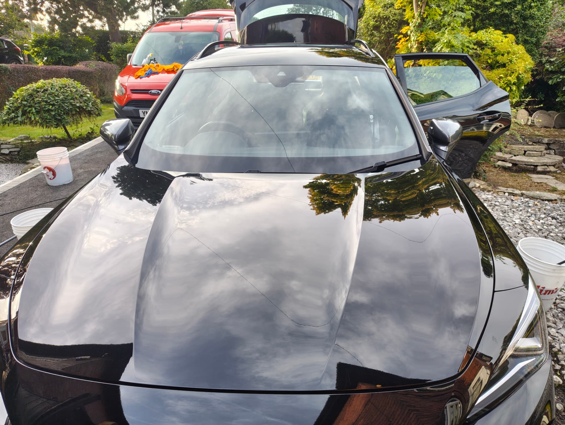 Cupra front with deep gloss after full detail