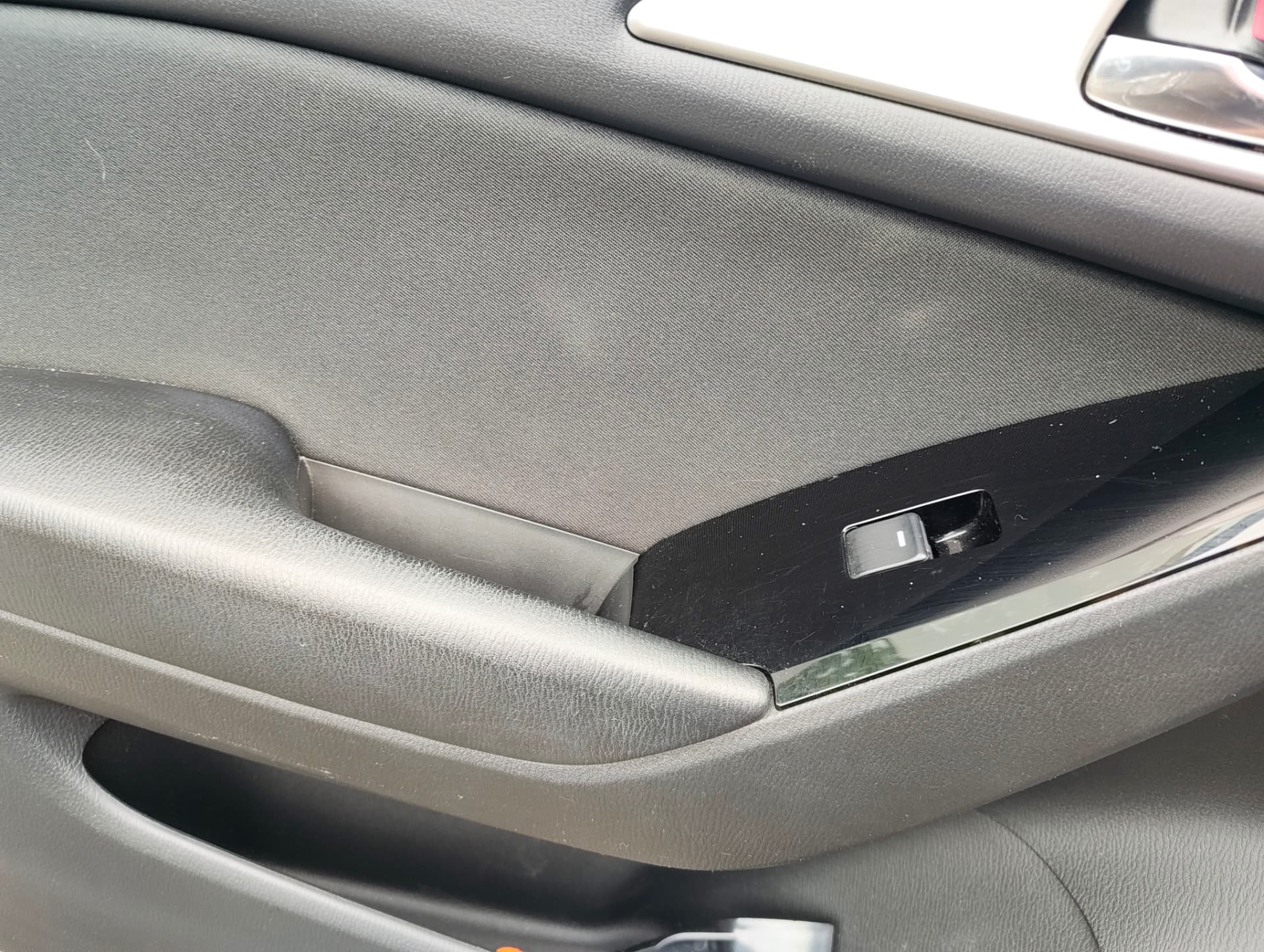 Restored interior door trim after detailing