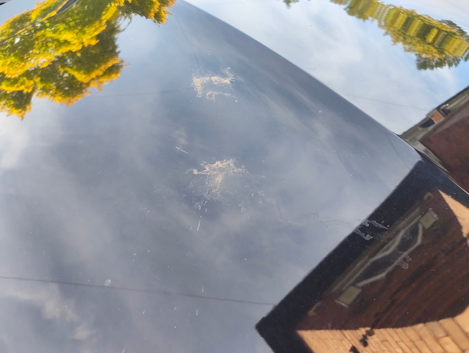 Cupra roof covered in bird lime and water spots before detailing