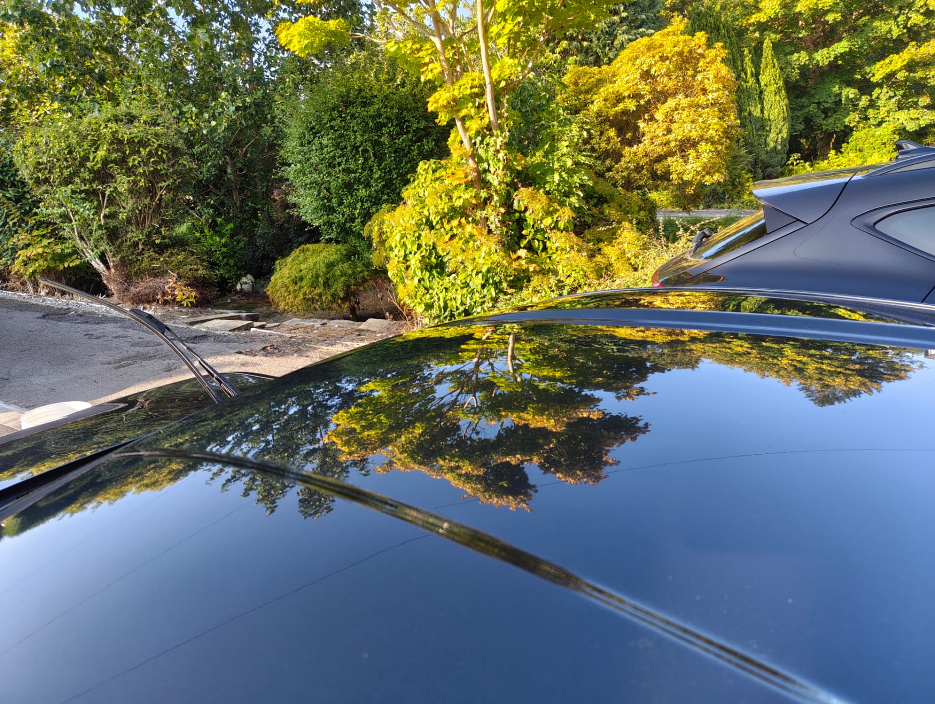 GT86 roof reflecting trees after gloss enhancement