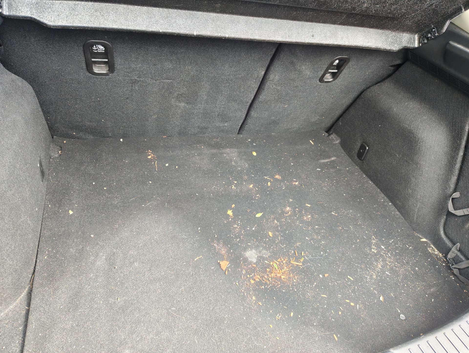 Boot carpet with embedded debris before detailing