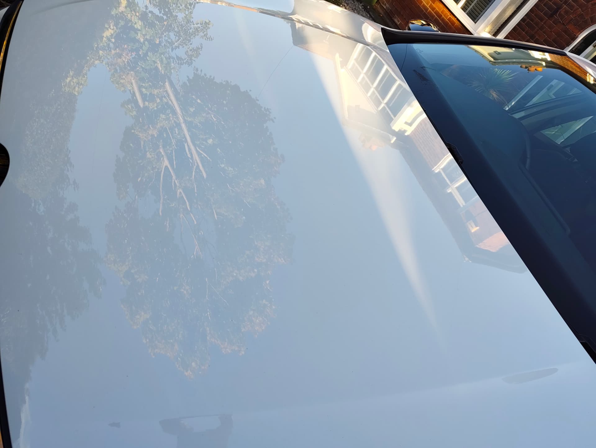 Golf bonnet with a mirror reflection of the surroundings after decontamination